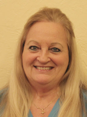 Berrien county local proposals and races